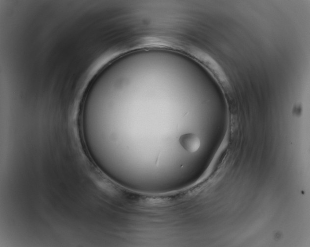 X0000103261427200809051433