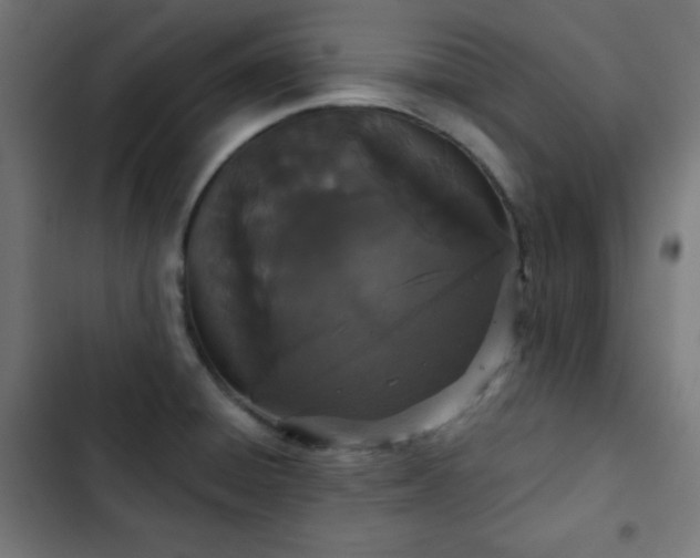 X0000103261428200809051433