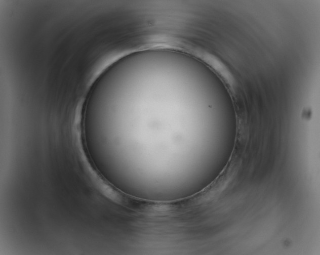 X0000103261431200809051433