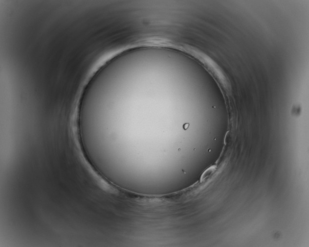 X0000103261432200809051433