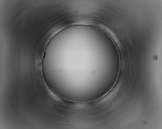 X0000103261433200809051433