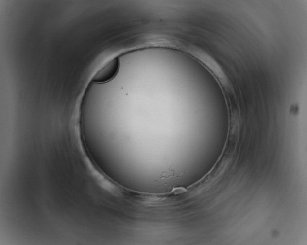 X0000103261439200809051433