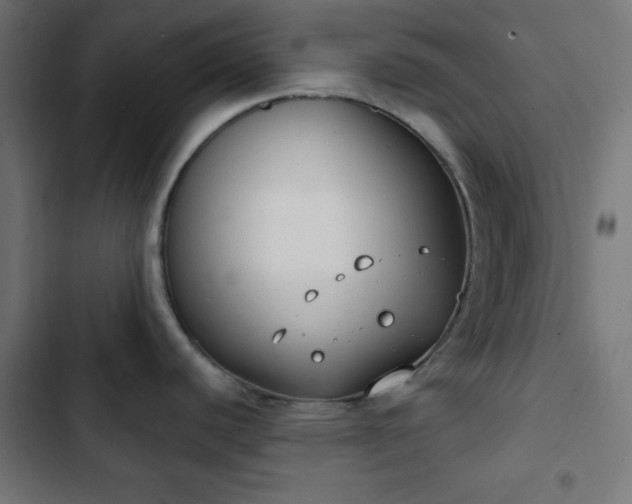 X0000103261440200809051433