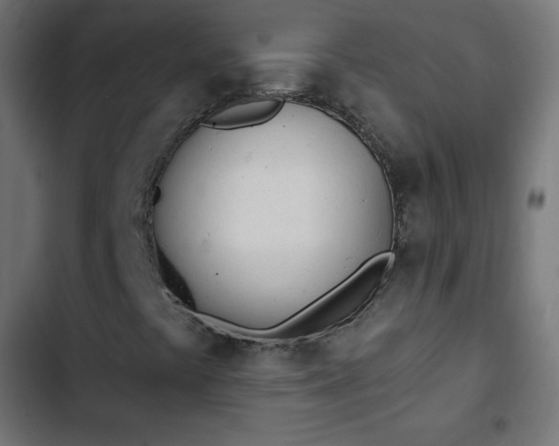 X0000103261441200809051432