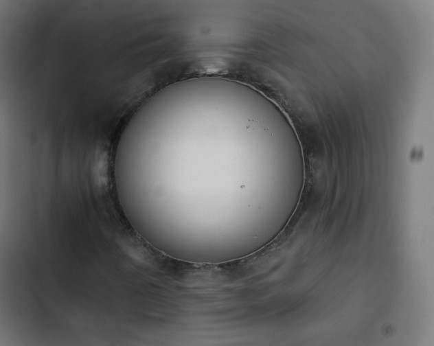 X0000103261442200809051432