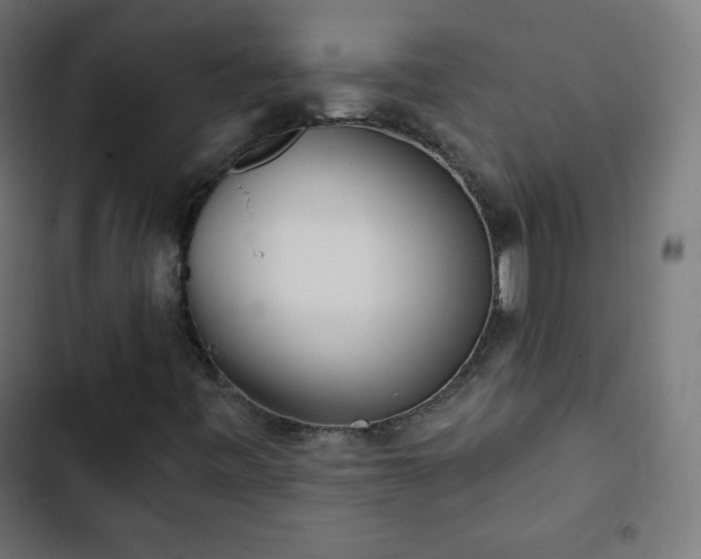 X0000103261443200809051432