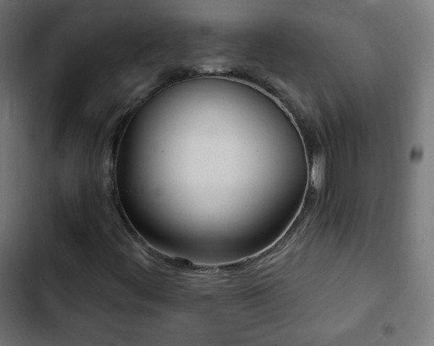 X0000103261444200809051432