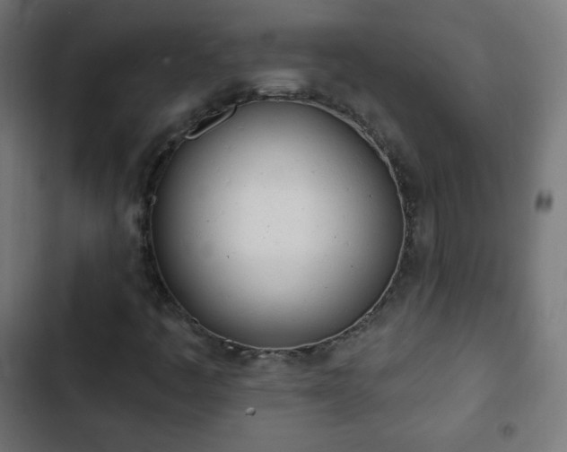 X0000103261445200809051432