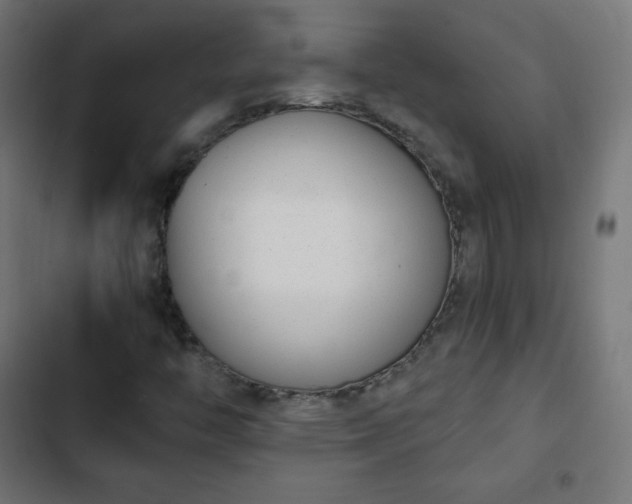 X0000103261446200809051432