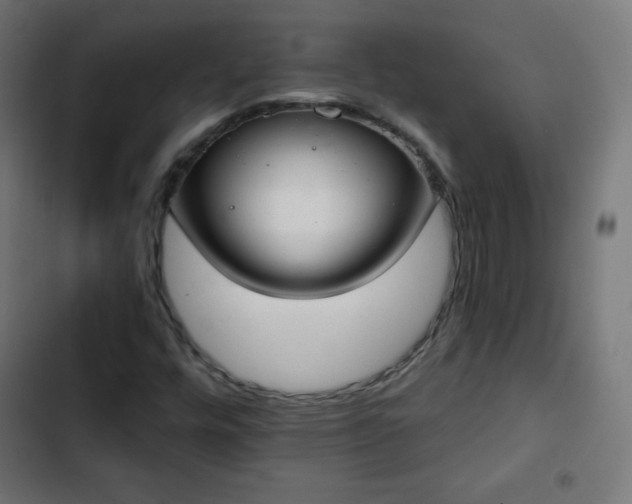 X0000103261448200809051432