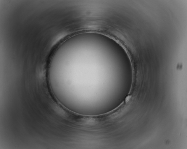 X0000103261450200809051432