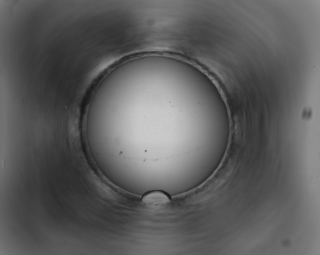 X0000103261452200809051432