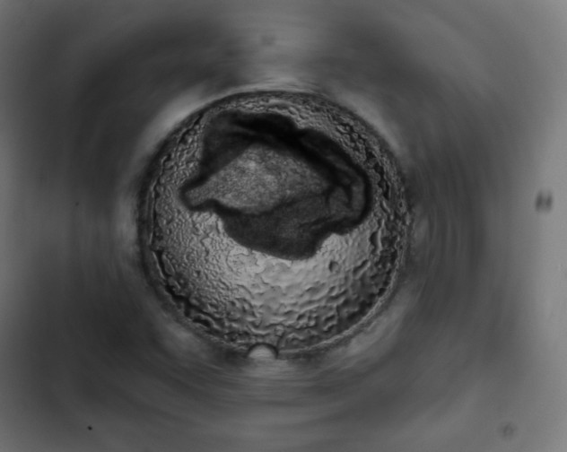 X0000103261455200809051432