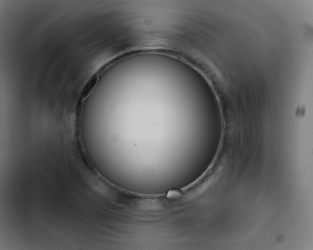 X0000103261457200809051432