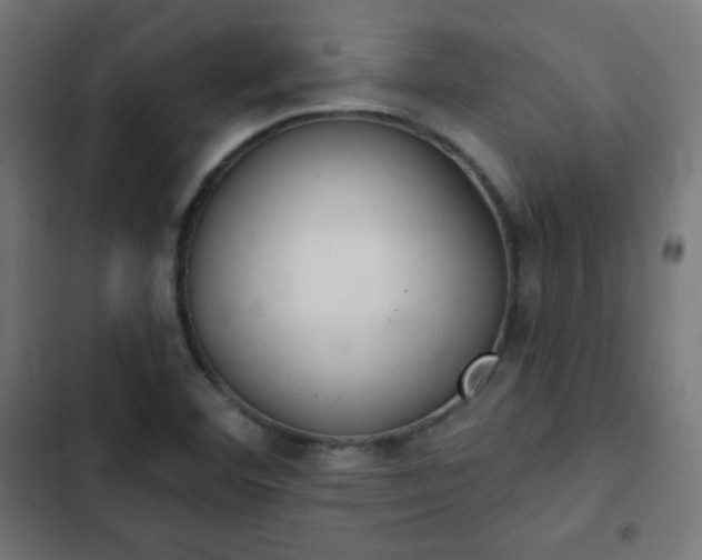 X0000103261460200809051432