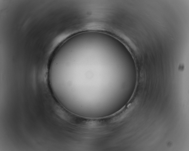 X0000103261461200809051432