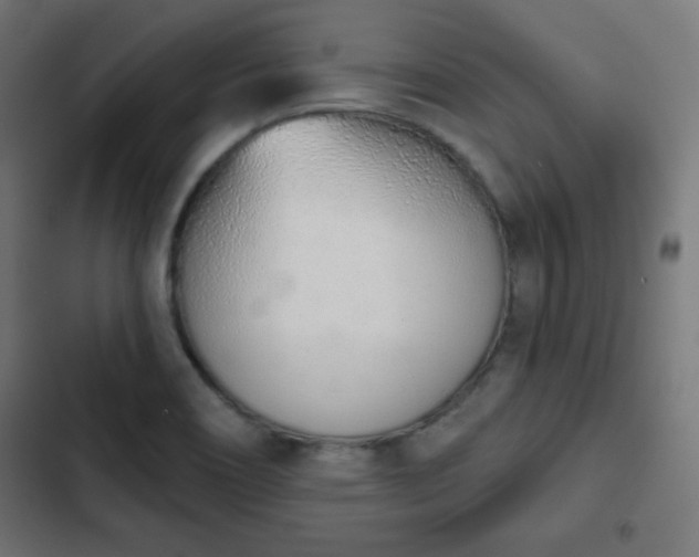 X0000103261466200809051432