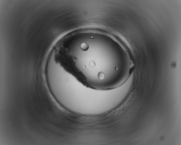 X0000103261468200809051432