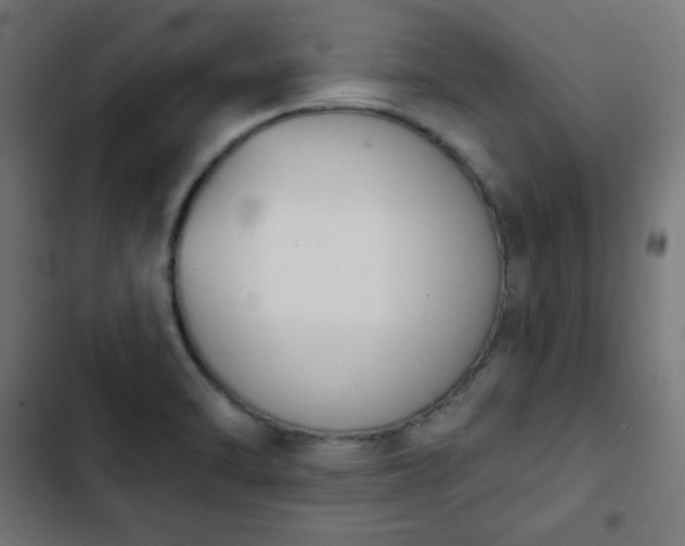 X0000103261470200809051432