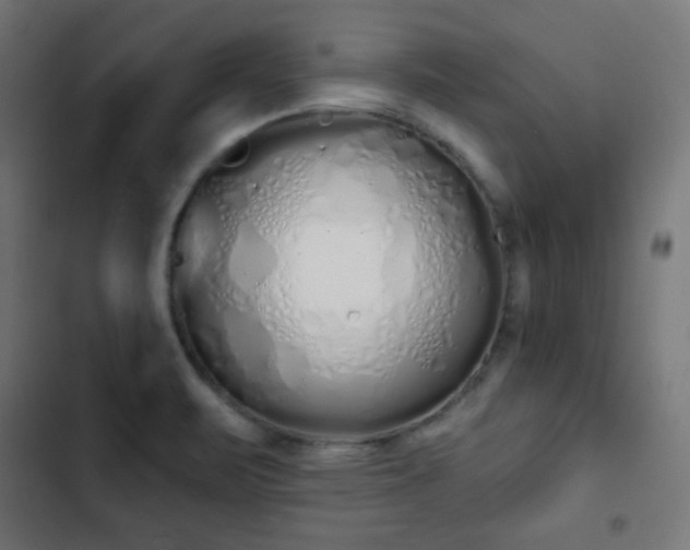 X0000103261471200809051432