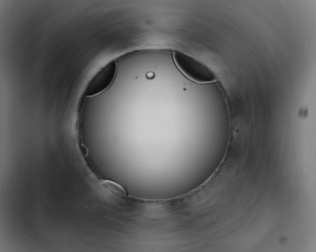 X0000103261472200809051432