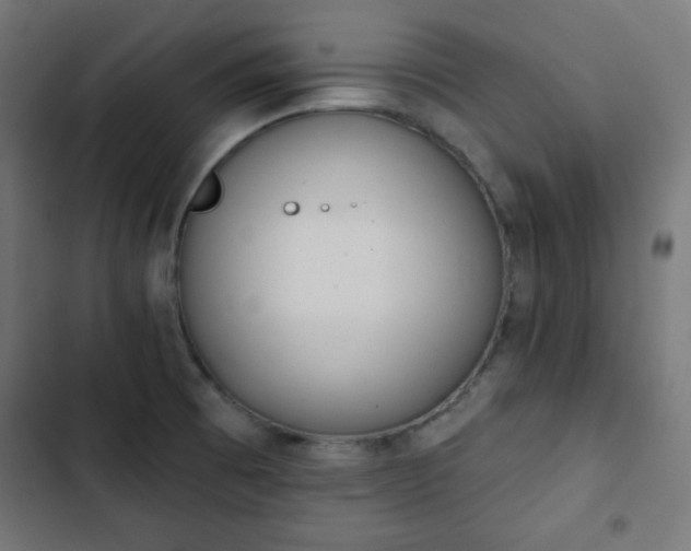 X0000103261473200809051432