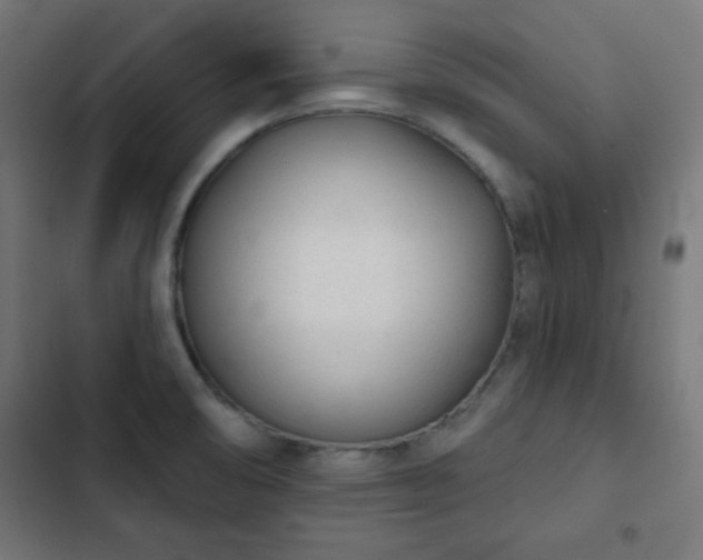 X0000103261474200809051432