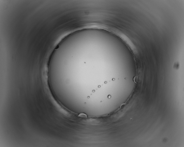 X0000103261476200809051432