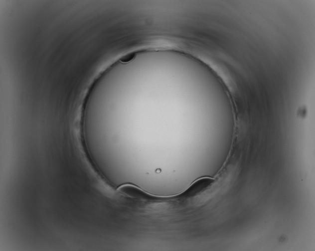 X0000103261477200809051432