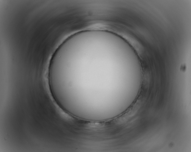 X0000103261478200809051432