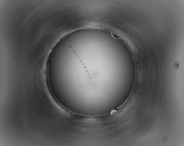 X0000103261479200809051432