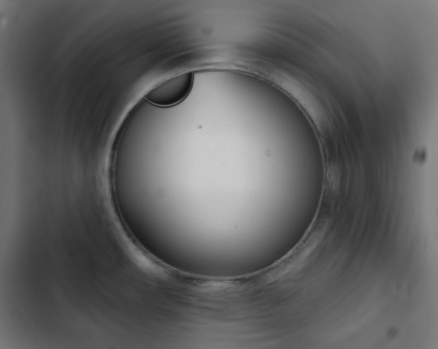 X0000103261482200809051431