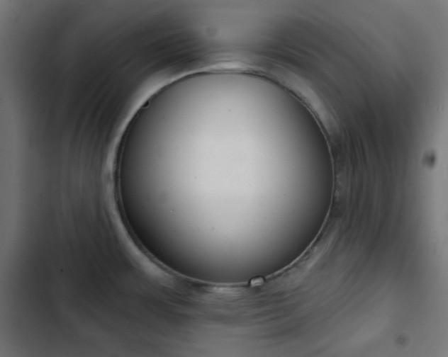 X0000103261483200809051431