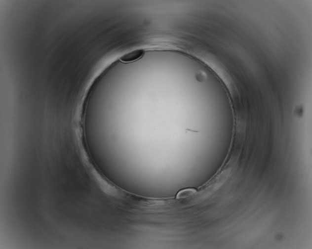 X0000103261485200809051431