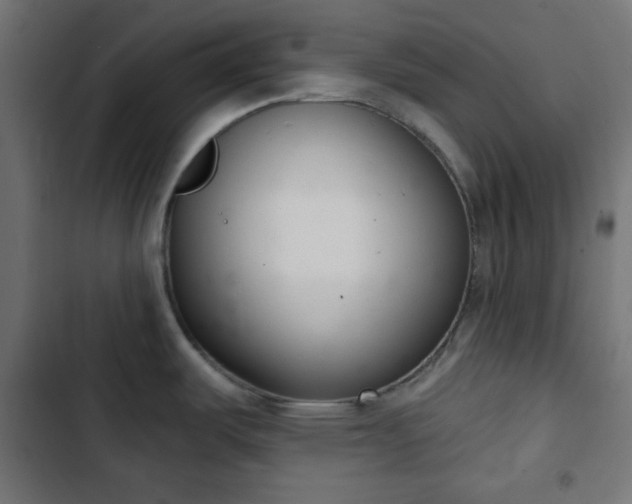 X0000103261487200809051431