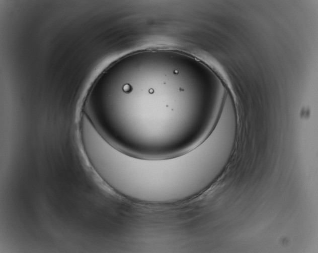 X0000103261488200809051431