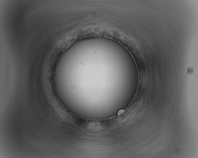 X0000103261489200809051431