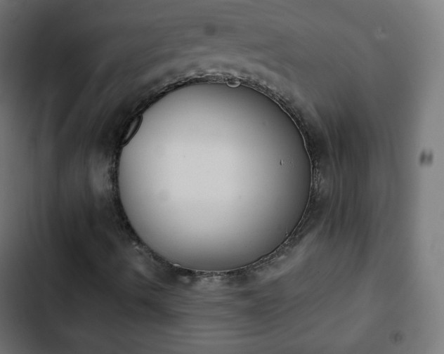 X0000103261490200809051431