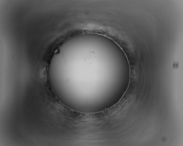 X0000103261493200809051431