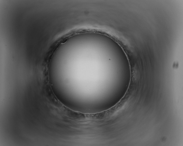 X0000103261494200809051431