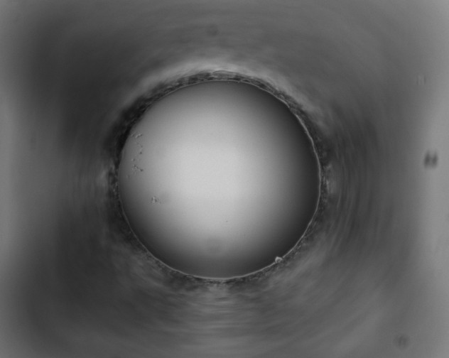 X0000103261495200809051431