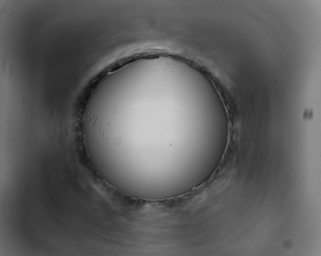 X0000103261496200809051431