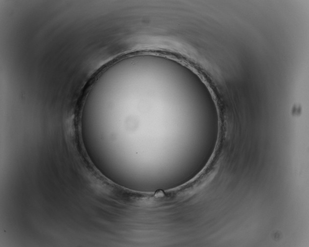 X0000103261497200809051431