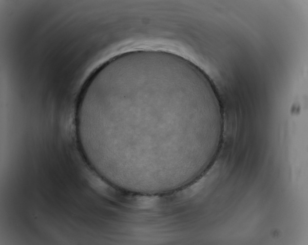 X0000103261498200809051431