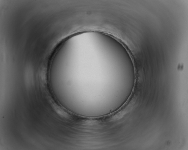 X0000103261499200809051431