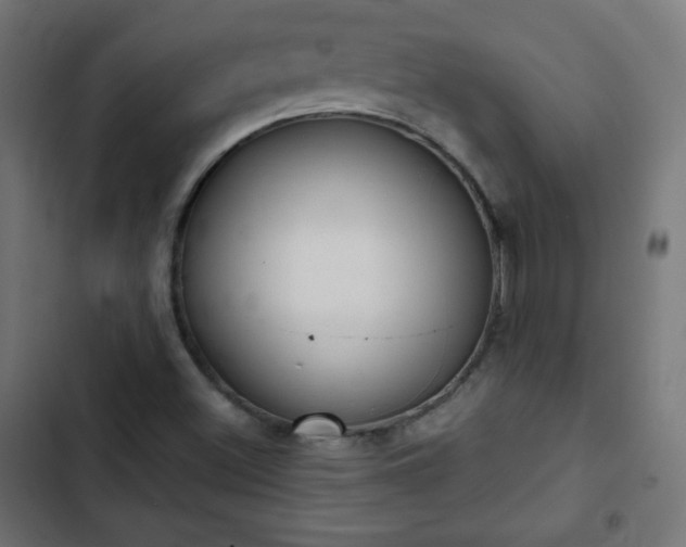 X0000103261500200809051431