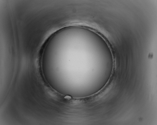 X0000103261501200809051431