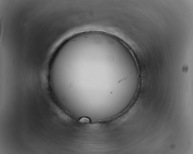 X0000103261502200809051431