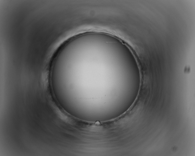 X0000103261503200809051431