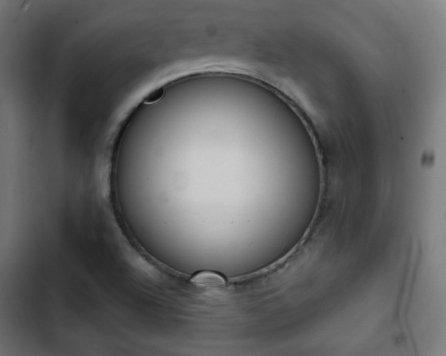 X0000103261504200809051431